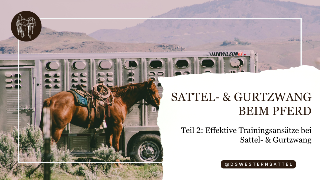 Sattel- & Gurtzwang beim Pferd – Teil 2: Effektive Trainingsansätze bei Sattel- & Gurtzwang – Schritt für Schritt zur Entspannung