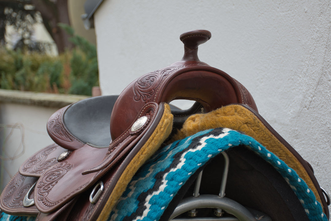 gebrauchtersatteldeuber3