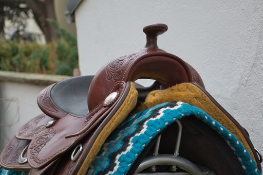 gebrauchtersatteldeuber3